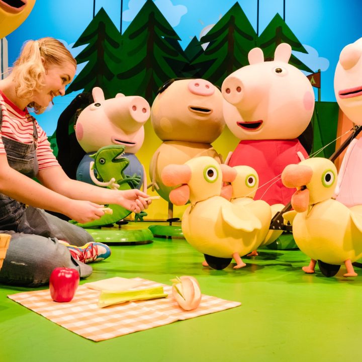 A person sitting on a green floor feeds puppet ducks.