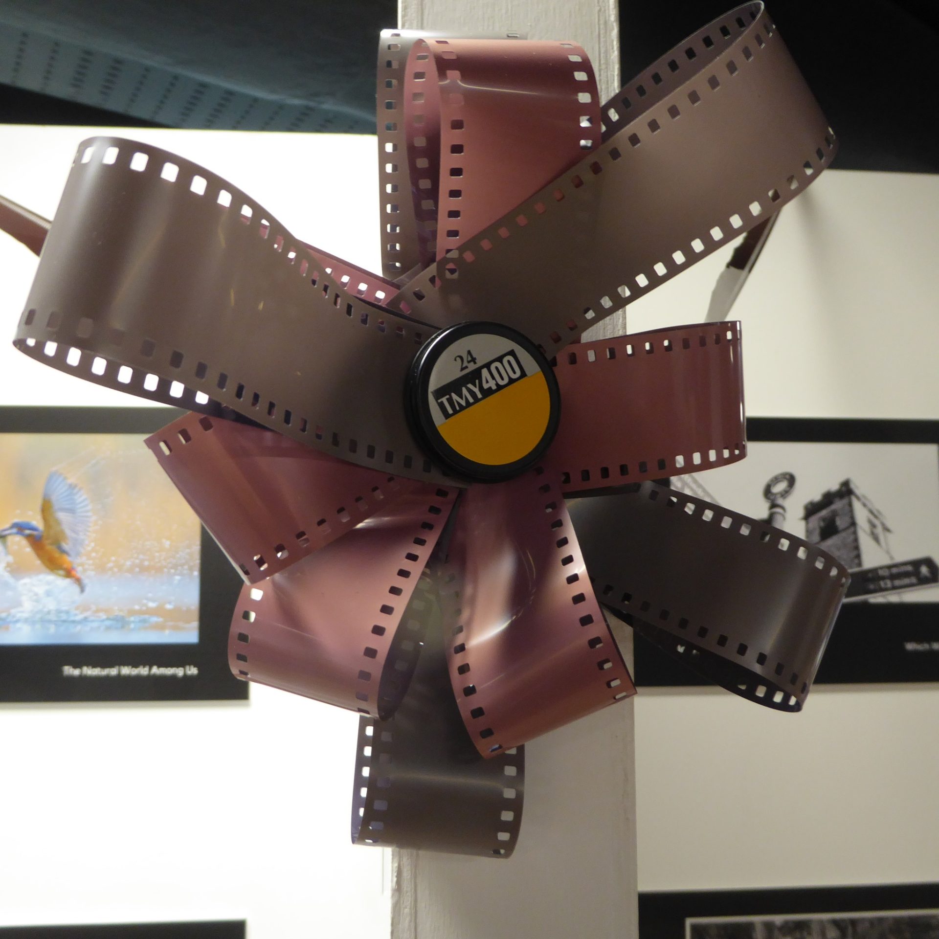 Film strip twisted into a bow, with a TMY 400 film canister at Harpenden's museum.